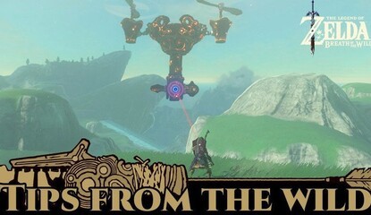 The Latest Zelda: Breath of the Wild Gift is Genuinely Useful for Hunting Guardians