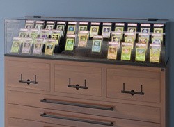 This UK-Based Company Is Making "Museum-Grade" Display Cabinets For Your Pokémon Cards