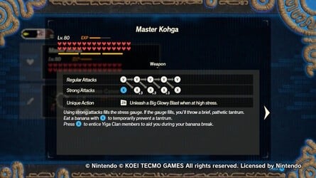 Master Kohga Weapons