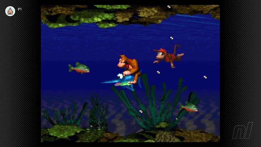 Donkey Kong Country Coral Capers