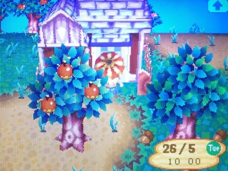 Animal Crossing Wild World Angus' House