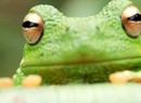 Frogger Returns (WiiWare)