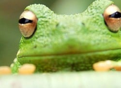 Frogger Returns (WiiWare)