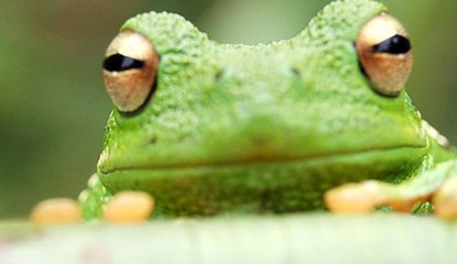 Frogger Returns (WiiWare)