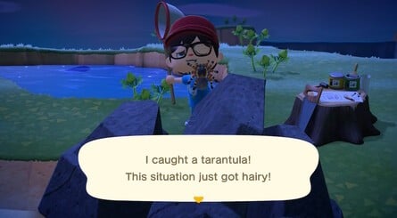 Animal Crossing Tarantula