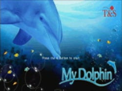 My Dolphin Cover