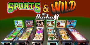 Sports & Wild Pinball