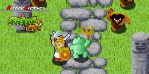 Arcade Archives THE LEGEND OF VALKYRIE