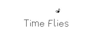 Time Flies