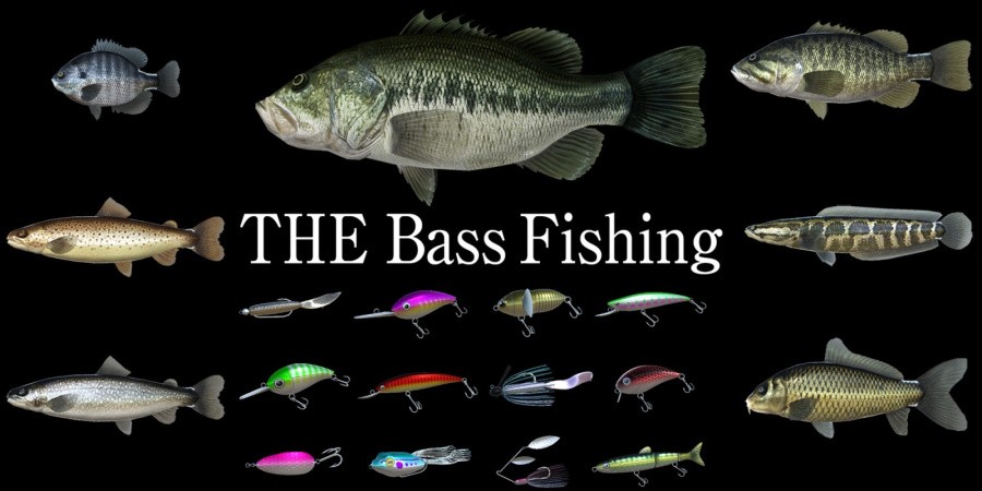 THE Bass Fishing
