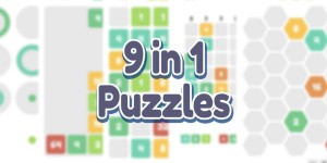 9 in 1 Puzzles