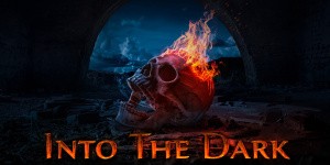 Into The Dark