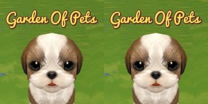 Garden of Pets
