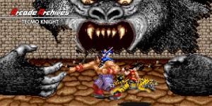 Arcade Archives TECMO KNIGHT