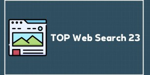 TOP Web Search 23