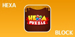 Hexa Puzzle Block