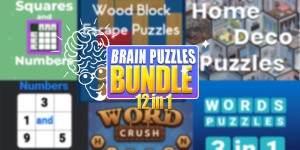 Brain Puzzles Bundle 12 in 1