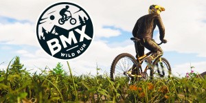 BMX Wild Run