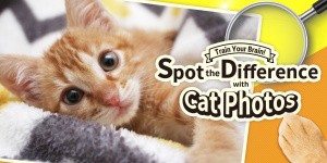 Train Your Brain! Spot the Difference with Cat Photos