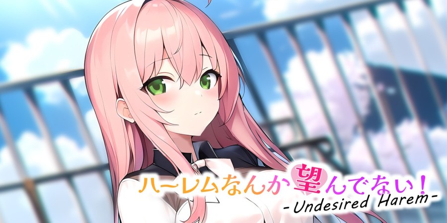 Undesired Harem - ハーレムなんか望んでない！ -