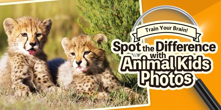 Train Your Brain! Spot the Difference with Animal Kids Photos