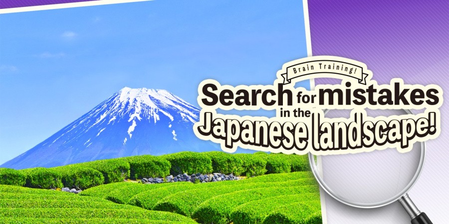 Train Your Brain! Spot the Difference with Japanese landscapes