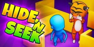 Hide 'N Seek