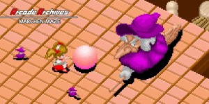 Arcade Archives MARCHEN MAZE