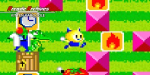 Arcade Archives KITTEN KABOODLE