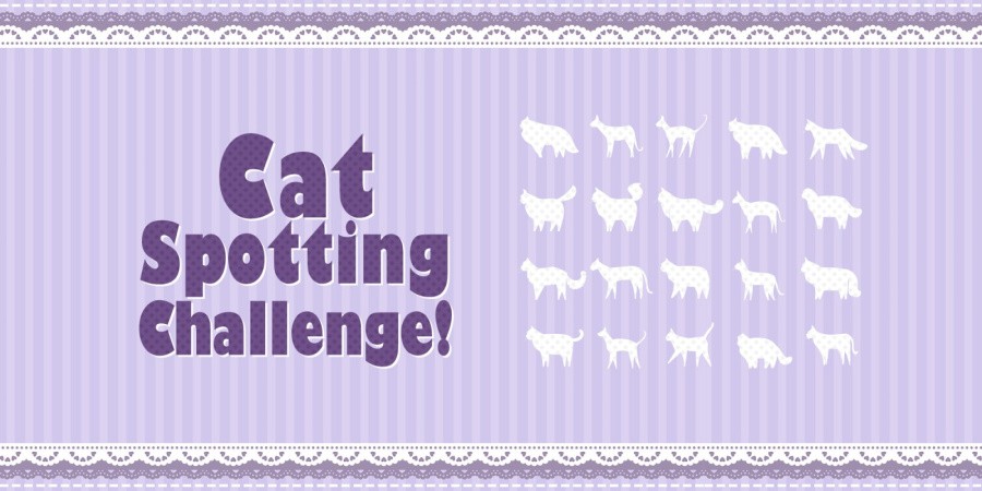 Cat Spotting Challenge!