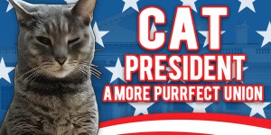 Cat President: A More Purrfect Union