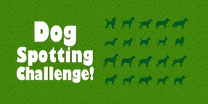 Dog Spotting Challenge!