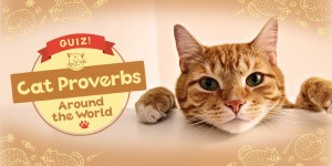 QUIZ! Cat Proverbs Around the World