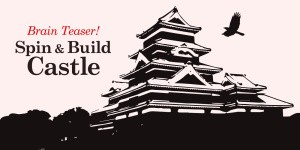 Brain Teaser! Spin & Build Castle