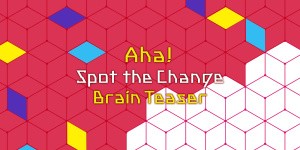 Aha! Spot the Change Brain Teaser