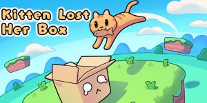 Kitten Lost Her Box