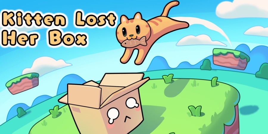 Kitten Lost Her Box