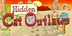Hidden Cat Outlaws