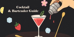 Cocktail & Bartender Guide