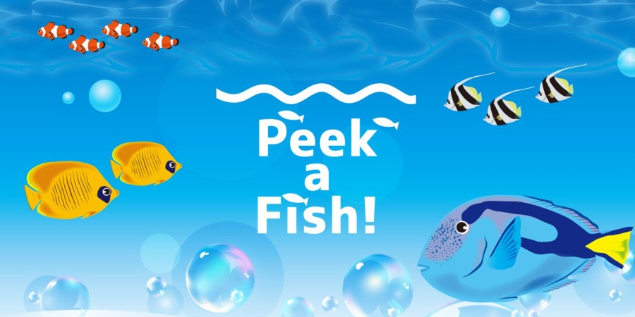 Peek a Fish!