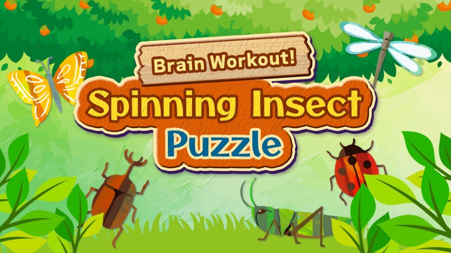Brain Workout! Spinning Insect Puzzle