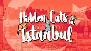 Hidden Cats in Istanbul
