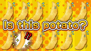 Is this potato?