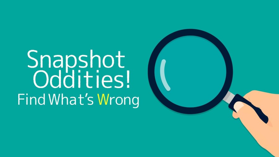 Snapshot Oddities ! Find What's Wrong