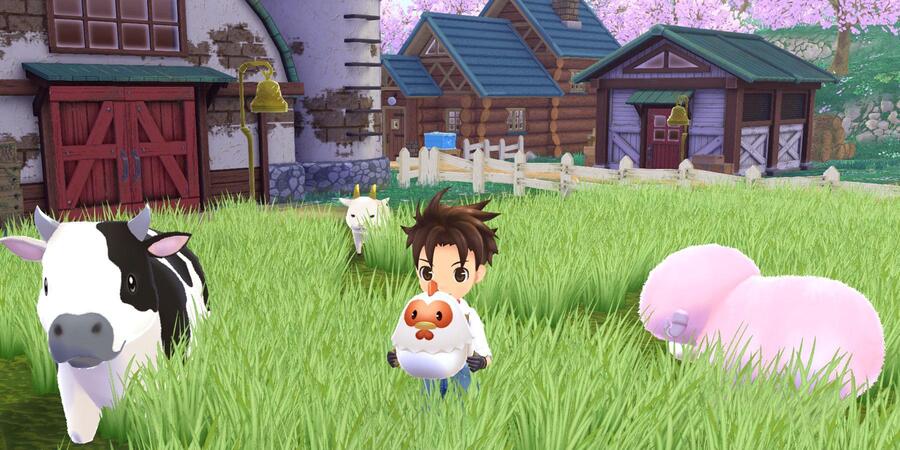 Everything We Know About Story Of Seasons: A Wonderful Life 40