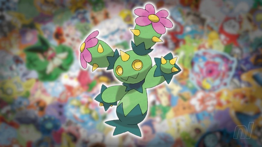 Maractus #556