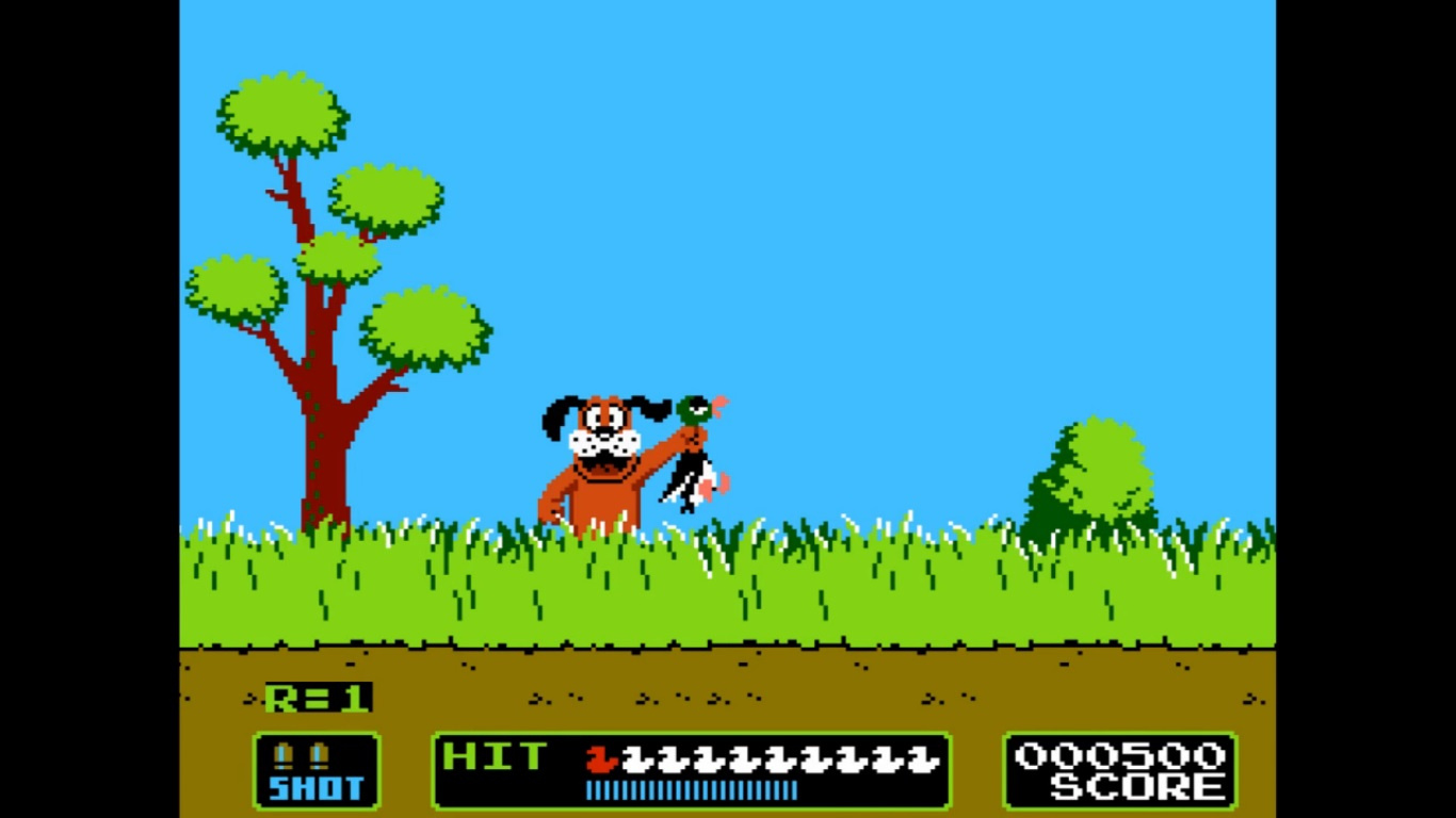 duck hunt wii