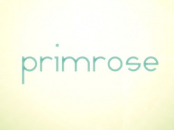 Primrose Cover