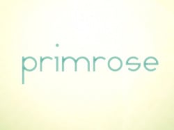Primrose Cover