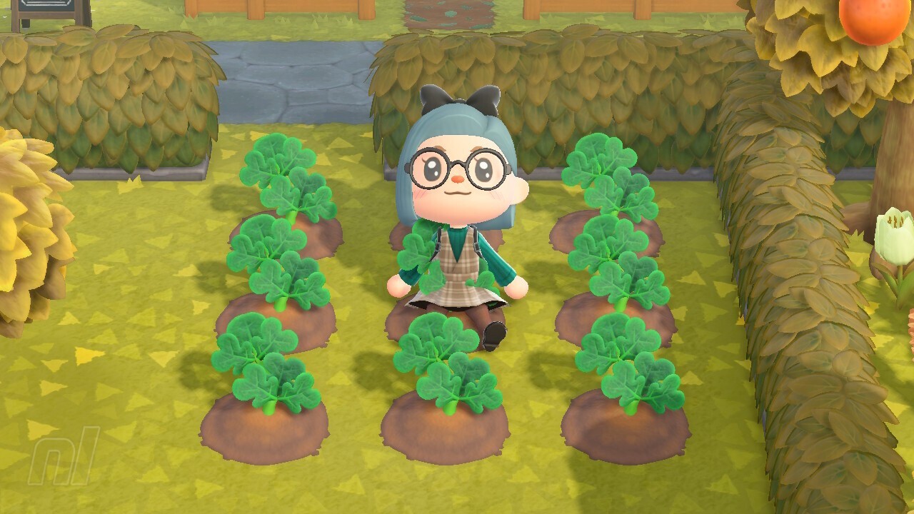 Animal Crossing Farming - How To Grow Tomatoes, Potatoes, Wheat